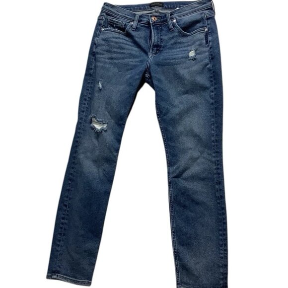 Silver Jeans Not Your Boyfriends Jeans Mid Rise Blue Denim Size W27/L27 - Picture 1 of 9